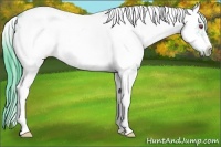 Horse Color:Watercolor Black Chinchilla Ice Sabino Splash Frame