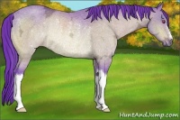 Horse Color:Watercolor Brown Chinchilla Ice Rabicano