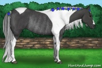 Horse Color:Smoky Black Tobiano Rabicano