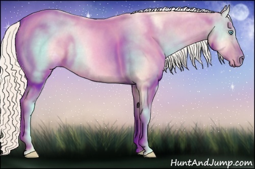 Horse Color:Gold Cream Champagne Ice Roan Pearl 