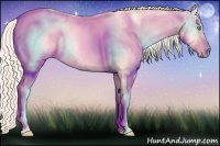 Horse Color:Gold Cream Champagne Ice Roan Pearl