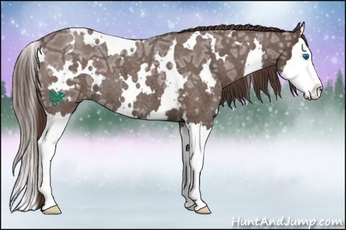 Horse Color:White Spotted Liver Red Ice Roan Splash 