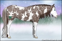Horse Color:White Spotted Liver Red Ice Roan Splash