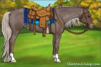 Horse Color:Silver Black Appaloosa 