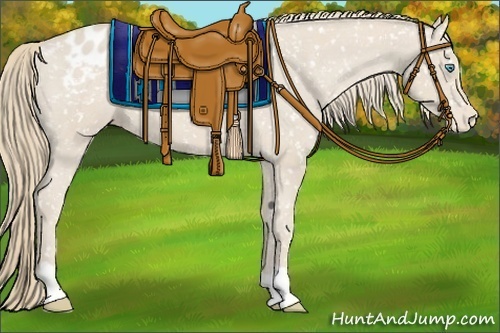 Horse Color:Smoky Creme Appaloosa 