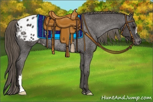 Horse Color:Smoky Black Varnish Rabicano 