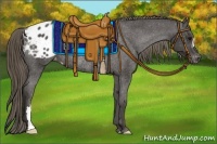 Horse Color:Smoky Black Appaloosa Rabicano