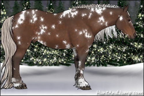 Horse Color:White Spotted Silver Brown Sabino 
