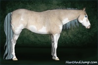Horse Color:Painted Bay Roan Dun Splash Rabicano 