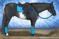 Horse Color:White Spotted Black Rabicano 