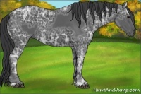 Horse Color:Black Ice 