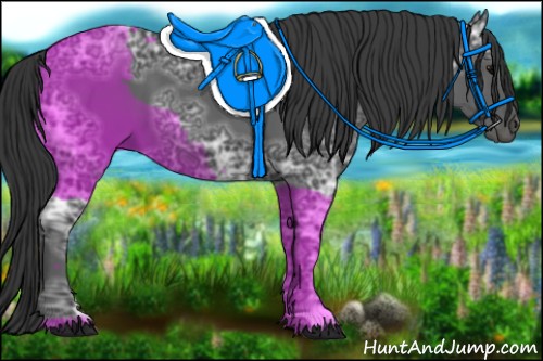 Horse Color:Black Ice 