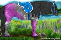 Horse Color:Black Ice 