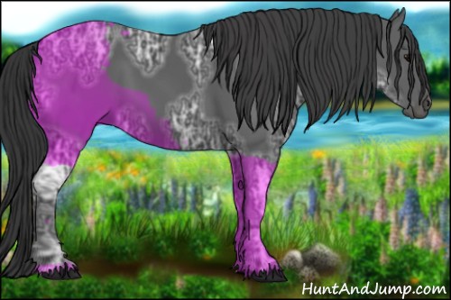 Horse Color:Black Ice 