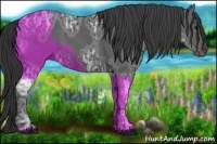 Horse Color:Black Ice 