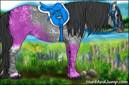 Horse Color:Black Ice Rabicano 