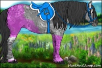 Horse Color:Black Ice Rabicano 