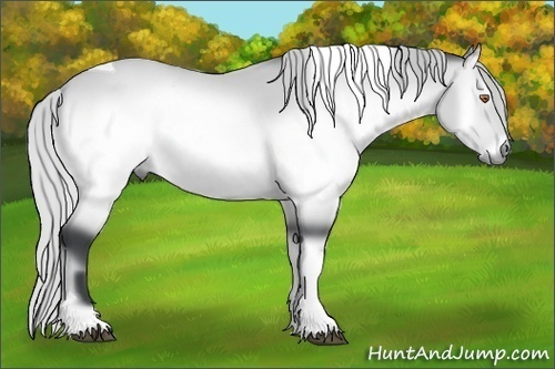 Horse Color:Silver Brown Chinchilla Onyx Sabino Tobiano