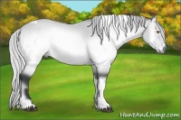 Horse Color:Silver Brown Chinchilla Onyx Sabino Tobiano