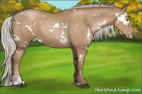 Horse Color:White Spotted Silver Black Pearl Sabino 