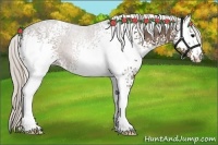 Horse Color:White Spotted Silver Black 