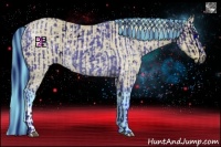 Horse Color:ERROR: UNKNOWN ANOMALY and Watercolor Buckskin 