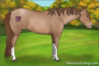 Horse Color:Brown Pearl 