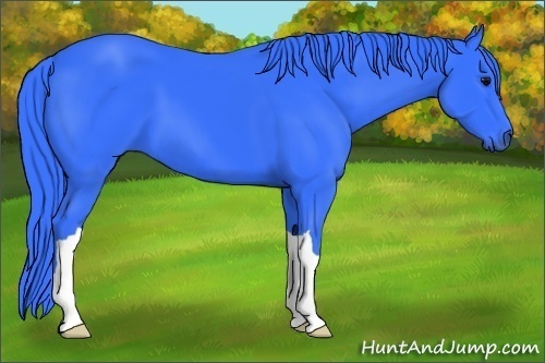 Horse Color:Watercolor Black 