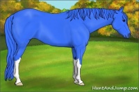 Horse Color:Watercolor Black 