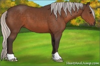 Horse Color:Silver Brown 