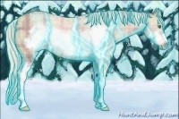 Horse Color:Thunderstruck Plaid  White Spotted Silver Sable Champagne Ice Roan Frame Appaloosa 