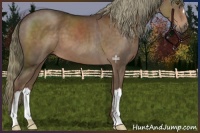 Horse Color:Liver Chestnut Mushroom 