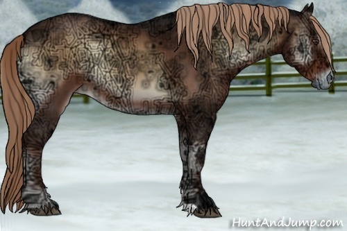 Horse Color:Liver Red Onyx Ice 
