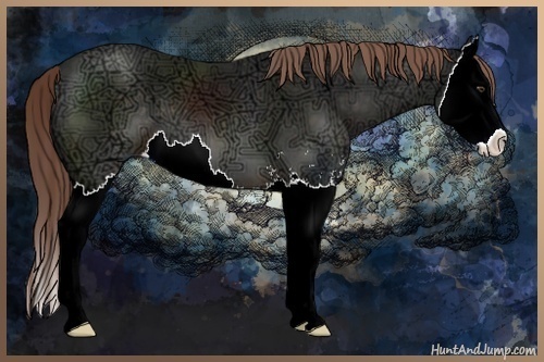 Horse Color:Liver Chestnut Ice Sabino Splash 