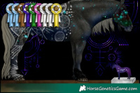 Horse Color:ERROR: UNKNOWN ANOMALY and ERROR: UNKNOWN ANOMALY