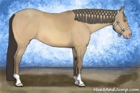 Horse Color:Amber Cream Champagne 