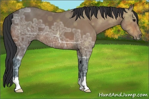Horse Color:Bay Ice 