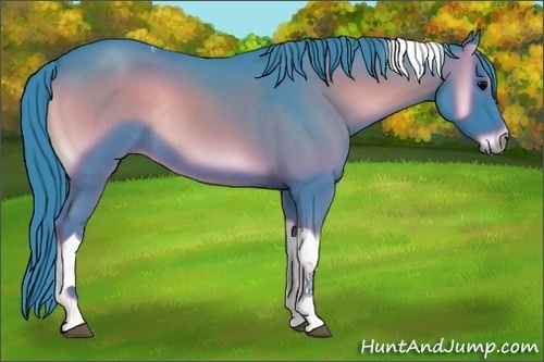 Horse Color:Watercolor Blue Onyx Roan Tobiano Rabicano 