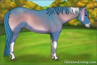 Horse Color:Watercolor Blue Onyx Roan Tobiano Rabicano 