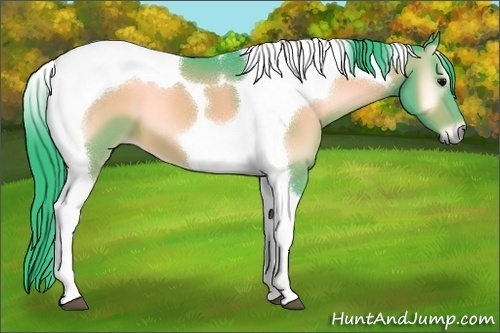 Horse Color:Watercolor Bay Onyx Tobiano 