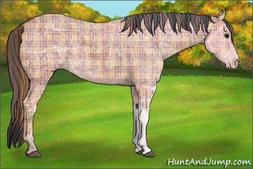 Horse Color:Plaid  Bay Ice 