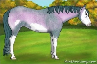 Horse Color:Watercolor Blue Onyx Roan Splash Frame 