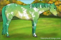 Horse Color:Watercolor White Spotted Brown 