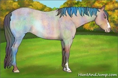 Horse Color:Nacre Sable Champagne Roan Rabicano 