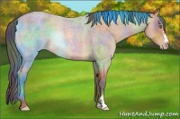 Horse Color:Nacre Sable Champagne Roan Rabicano