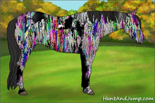 Horse Color:Gray Brown Ice Roan Dun Tobiano Appaloosa Rabicano 