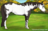 Horse Color:Liver Chestnut Frame 