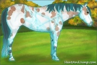 Horse Color:Thunderstruck White Spotted Bay Splash 