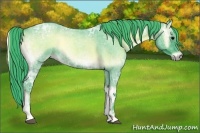 Horse Color:Watercolor Blue Onyx Ice Roan