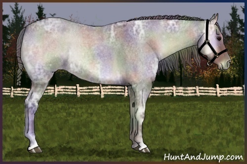 Horse Color:Nacre Smoky Blue Onyx Ice Roan
